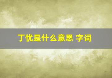 丁忧是什么意思 字词